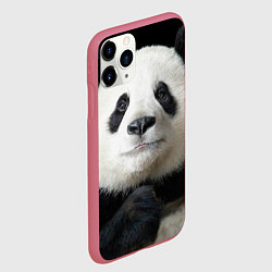 Чехол iPhone 11 Pro матовый Взгляд пандочки, цвет: 3D-малиновый — фото 2