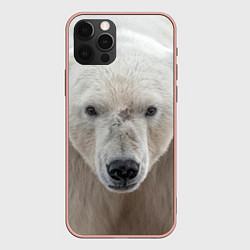 Чехол для iPhone 12 Pro Max Белый медведь, цвет: 3D-светло-розовый