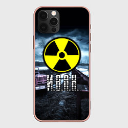 Чехол для iPhone 12 Pro Max S.T.A.L.K.E.R: Иван, цвет: 3D-светло-розовый