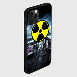 Чехол для iPhone 12 Pro Max S.T.A.L.K.E.R: Radiation, цвет: 3D-черный — фото 2