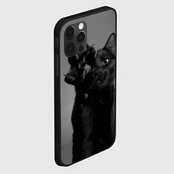 Чехол для iPhone 12 Pro Max Черный котик, цвет: 3D-черный — фото 2