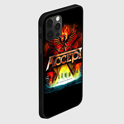 Чехол для iPhone 12 Pro Max Accept: Flame Eagle, цвет: 3D-черный — фото 2