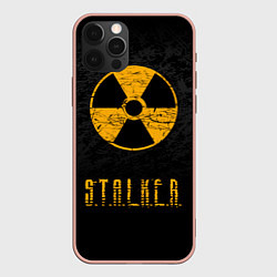 Чехол для iPhone 12 Pro Max STALKER: Radioactive, цвет: 3D-светло-розовый