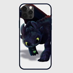 Чехол для iPhone 12 Pro Max Как приручить дракона, цвет: 3D-черный