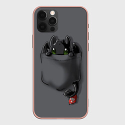 Чехол для iPhone 12 Pro Max Фурия в кармане, цвет: 3D-светло-розовый