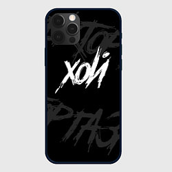 Чехол для iPhone 12 Pro Max Сектор Газа - ХОЙ, цвет: 3D-черный