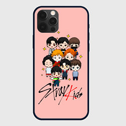 Чехол для iPhone 12 Pro Max Stray Kids, цвет: 3D-черный