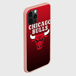 Чехол для iPhone 12 Pro Max CHICAGO BULLS, цвет: 3D-светло-розовый — фото 2