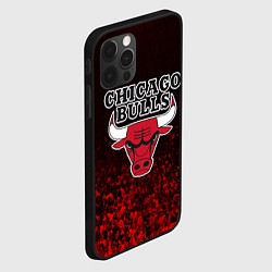 Чехол для iPhone 12 Pro Max CHICAGO BULLS, цвет: 3D-черный — фото 2