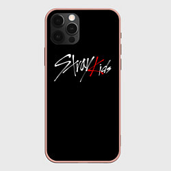 Чехол для iPhone 12 Pro Max STRAY KIDS, цвет: 3D-светло-розовый