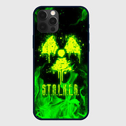 Чехол iPhone 12 Pro Max STALKER 2