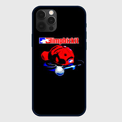 Чехол для iPhone 12 Pro Max LIMP BIZKIT, цвет: 3D-черный