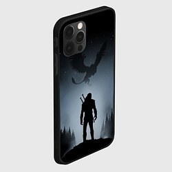 Чехол для iPhone 12 Pro Max ВЕДЬМАК, цвет: 3D-черный — фото 2