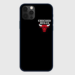 Чехол для iPhone 12 Pro Max CHICAGO BULLS, цвет: 3D-черный