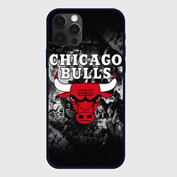 Чехол для iPhone 12 Pro Max CHICAGO BULLS, цвет: 3D-черный