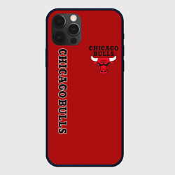 Чехол для iPhone 12 Pro Max CHICAGO BULLS, цвет: 3D-черный