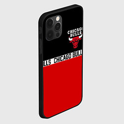 Чехол для iPhone 12 Pro Max CHICAGO BULLS, цвет: 3D-черный — фото 2