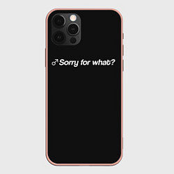 Чехол для iPhone 12 Pro Max Sorry for what?, цвет: 3D-светло-розовый
