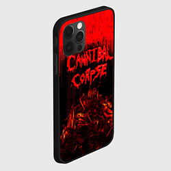 Чехол для iPhone 12 Pro Max CANNIBAL CORPSE, цвет: 3D-черный — фото 2