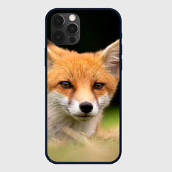 Чехол для iPhone 12 Pro Max Мордочка лисицы, цвет: 3D-черный