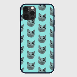 Чехол для iPhone 12 Pro Max ШТОШ, цвет: 3D-черный