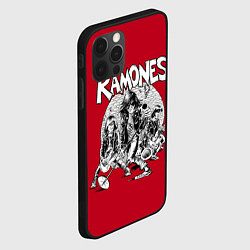 Чехол для iPhone 12 Pro Max BW Ramones, цвет: 3D-черный — фото 2