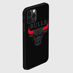 Чехол для iPhone 12 Pro Max CHICAGO BULLS ЧИКАГО БУЛЛС ЯРОСТЬ БЫКА, цвет: 3D-черный — фото 2