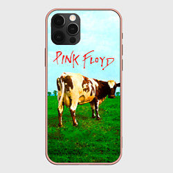 Чехол для iPhone 12 Pro Max Atom Heart Mother - Pink Floyd, цвет: 3D-светло-розовый