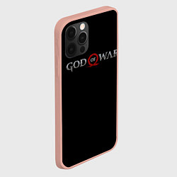 Чехол для iPhone 12 Pro Max GOD OF WAR LOGO, РУНЫ, цвет: 3D-светло-розовый — фото 2