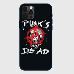 Чехол для iPhone 12 Pro Max Punks Not Dead Анархия, цвет: 3D-черный