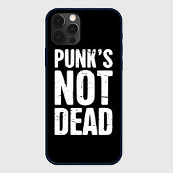 Чехол для iPhone 12 Pro Max PUNKS NOT DEAD Панки Живы, цвет: 3D-черный