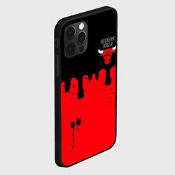 Чехол для iPhone 12 Pro Max Chicago Bulls Чикаго Буллз Логотип, цвет: 3D-черный — фото 2