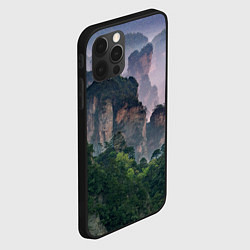 Чехол для iPhone 12 Pro Max Горы лес каньон, цвет: 3D-черный — фото 2