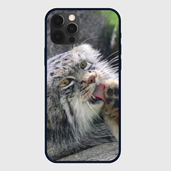 Чехол для iPhone 12 Pro Max Манул Лапка, цвет: 3D-черный