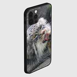 Чехол для iPhone 12 Pro Max Манул Лапка, цвет: 3D-черный — фото 2