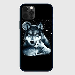 Чехол для iPhone 12 Pro Max Ночные Волки, цвет: 3D-черный