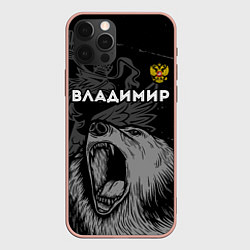 Чехол для iPhone 12 Pro Max Владимир Россия Медведь, цвет: 3D-светло-розовый