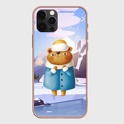Чехол для iPhone 12 Pro Max Медведица в шубке, цвет: 3D-светло-розовый
