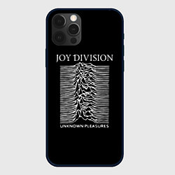 Чехол для iPhone 12 Pro Max Joy Division - unknown pleasures, цвет: 3D-черный
