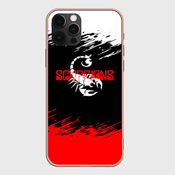 Чехол iPhone 12 Pro Max Scorpions - краска
