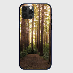 Чехол для iPhone 12 Pro Max Дневной лес, деревья и свет, цвет: 3D-черный