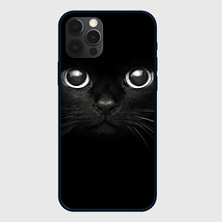 Чехол для iPhone 12 Pro Max Взгляд чёрного кота, цвет: 3D-черный
