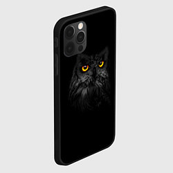 Чехол для iPhone 12 Pro Max Сова ночью, цвет: 3D-черный — фото 2