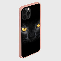 Чехол для iPhone 12 Pro Max Чёрная кошка с оранжевыми глазами, цвет: 3D-светло-розовый — фото 2