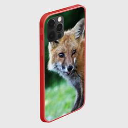 Чехол для iPhone 12 Pro Max Лисёнoк, цвет: 3D-красный — фото 2