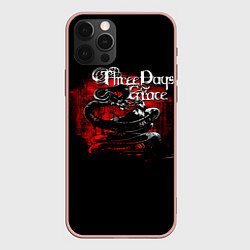 Чехол iPhone 12 Pro Max Three Days Grace змея и ворон