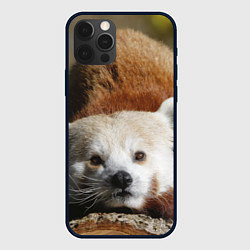 Чехол для iPhone 12 Pro Max Красная панда ждёт, цвет: 3D-черный