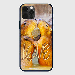 Чехол для iPhone 12 Pro Max Влюблённые капибары, цвет: 3D-черный