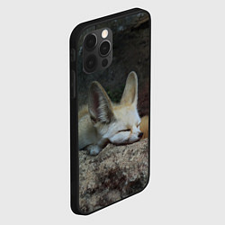 Чехол для iPhone 12 Pro Max Фенек, цвет: 3D-черный — фото 2