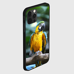 Чехол для iPhone 12 Pro Max Красавец попугай, цвет: 3D-черный — фото 2